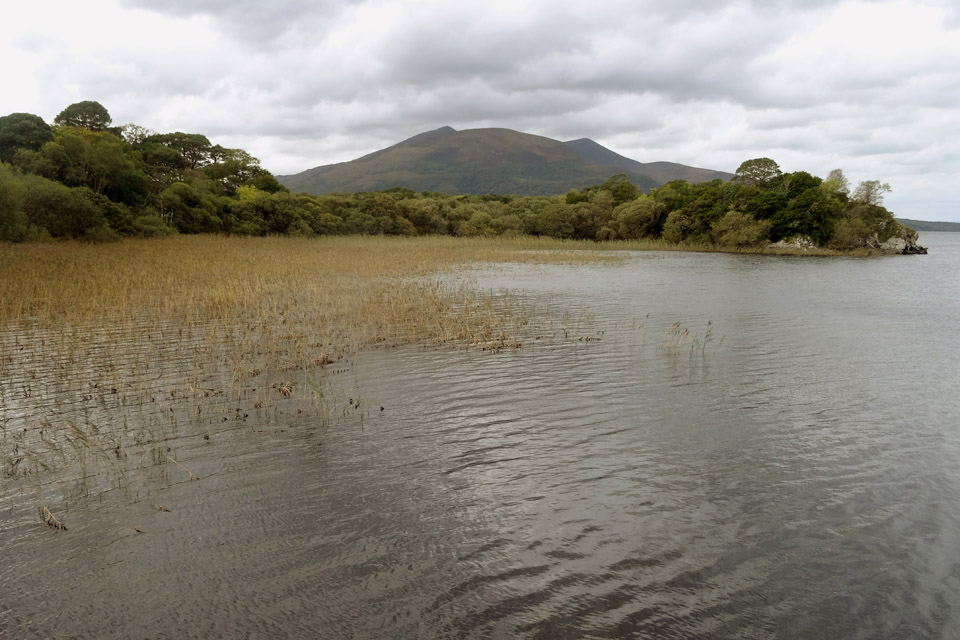 Muckross Lake